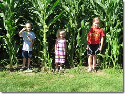 IMG_7618 IMG_7618