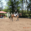 DSCN2195.JPG