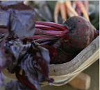 Foods to eat for healthy living