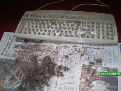 Keyboard after removing dust Look at all the dust and be amazed.