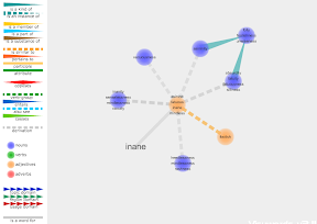 Visual Dictionary Visual display of the English word Inane