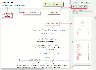 Google Docs Viewer interface