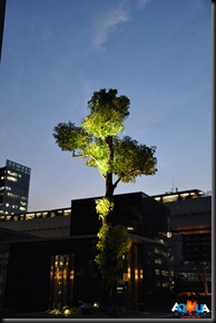 DSC_0130 DSC_0130