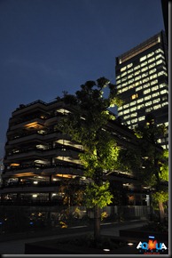 DSC_0132 DSC_0132