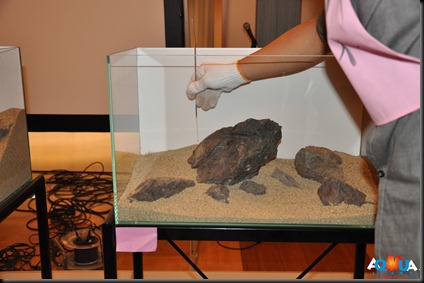 DSC_0447 DSC_0447