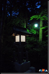 DSC_0057 DSC_0057