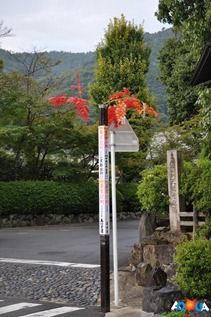 DSC_0026_1 DSC_0026_1