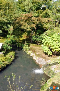 DSC_0212 DSC_0212