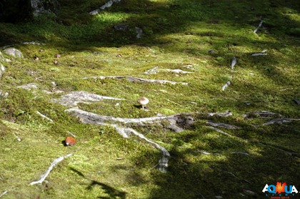 DSC_0239 DSC_0239