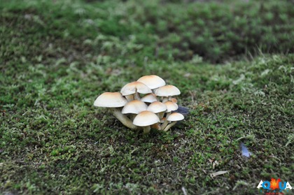DSC_0251 DSC_0251