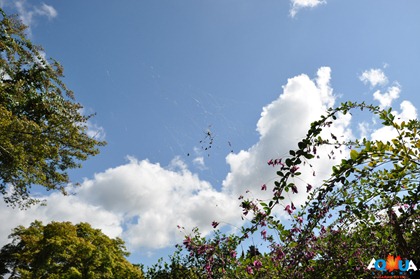 DSC_0260 DSC_0260