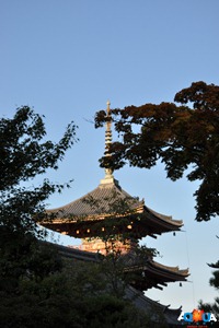 DSC_0815 DSC_0815