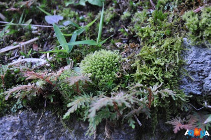 DSC_0850 DSC_0850