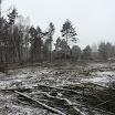 P1040406.JPG