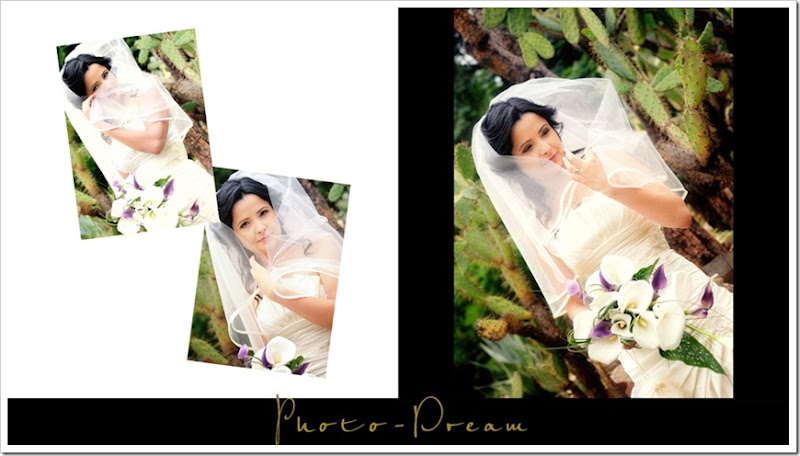 Dana&Florin-wedd_004