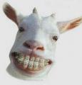 http://lh3.ggpht.com/_SFCJ3cwZ_oY/S3PXB89gbvI/AAAAAAAAADE/icgDxLtv_Wk/s800/_cheeeeeseee.jpg
