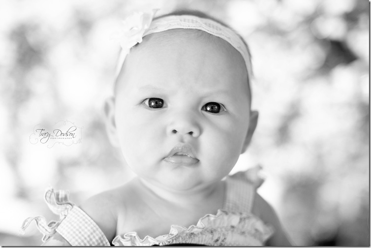 3 Month Baby Girl Tracy Dodson Photography_001