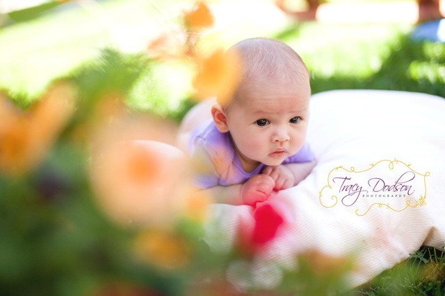 [3 Month Baby Girl Tracy Dodson Photography_007[4].jpg]