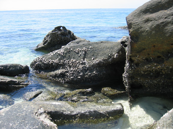 a rocky beach with water and rocks