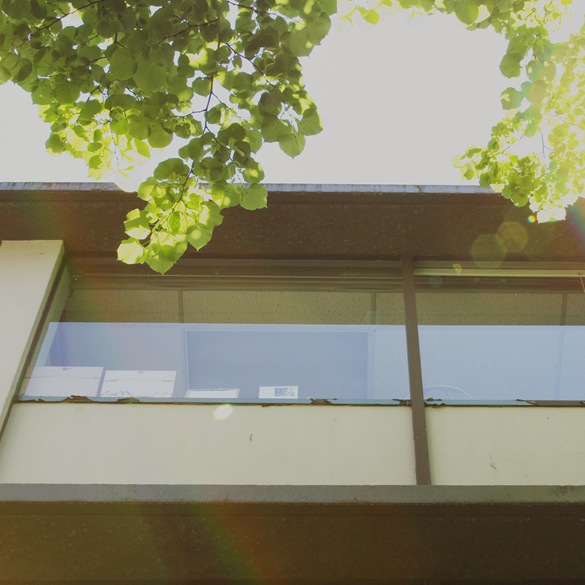 always looking up