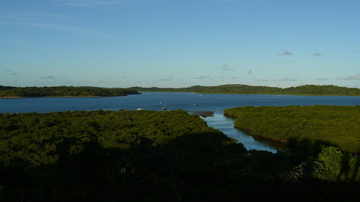 P1120173.JPG