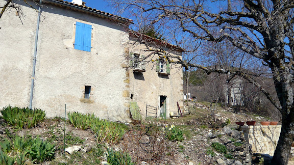 P1000254.JPG