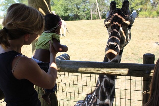 [Zoo 023[3].jpg]