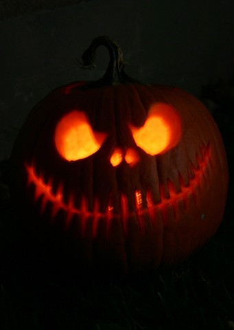[IMG_2924no24.jpg]