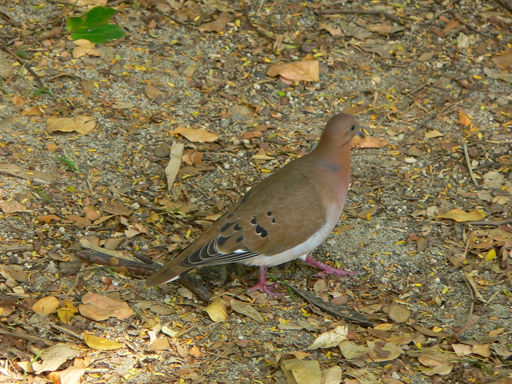[P10100352.jpg]