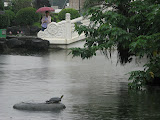 IMG_5273.JPG