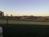DSC00046.JPG