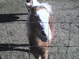 DSC00052.JPG