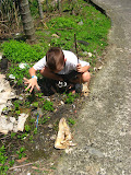 IMG_3762.JPG