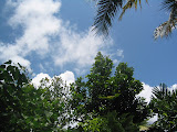 155_5586.JPG