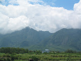 156_5674.JPG