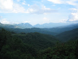 157_5708.JPG