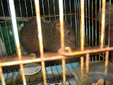 IMG_4759.JPG