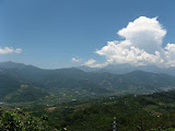 IMG_4419.JPG