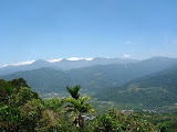 IMG_4432.JPG