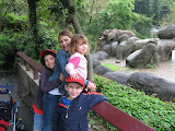 At the Taipei Zoo