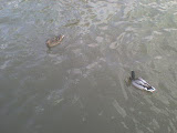 DSC00324.JPG