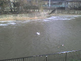 DSC00330.JPG