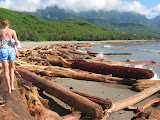 Bethanie walking on the driftwood which stretched for over 100km up the east coast