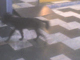 DSC00380.JPG