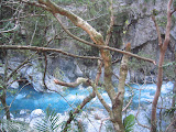 IMG_1218.JPG