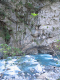 IMG_1221_r1.JPG