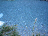 IMG_1207.JPG