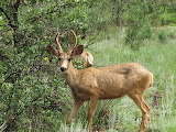 IMG_1266.JPG