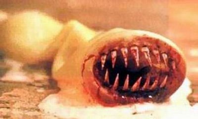 [killercondomir7[3].jpg]