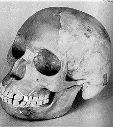 [charles dawson[6].jpg]